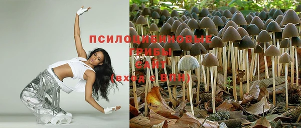 ECSTASY Кинешма